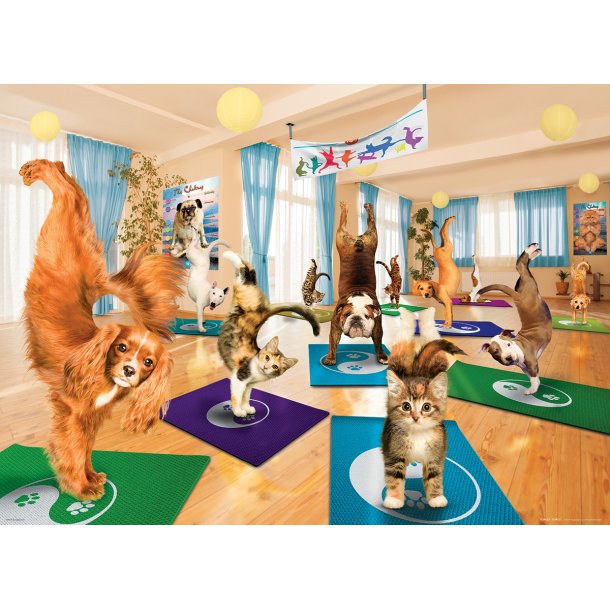 Yoga for hunde &amp; katte, 500